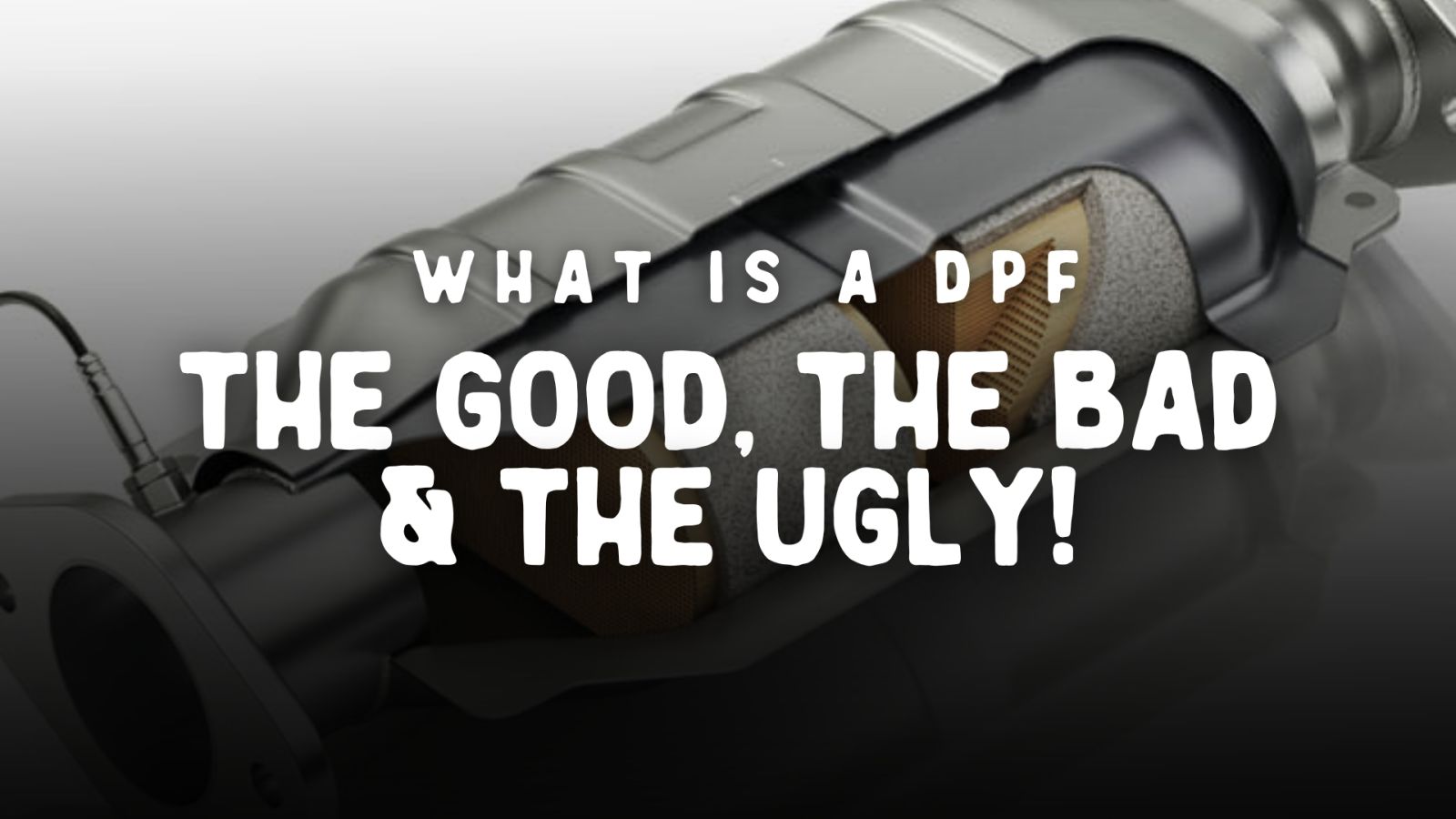 Campfire Chat Legendex Media DPF'S The good, the bad & the ugly!